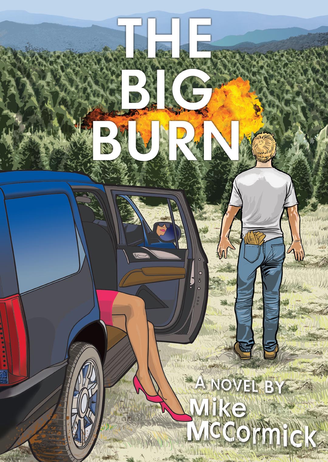 The Big Burn Book - A Novel by Mike McCormick